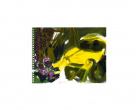 12-bruno-moinard-carnets-de-voyage