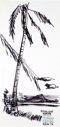 carnet-de-voyage-hawai-honolulu_dsc4977