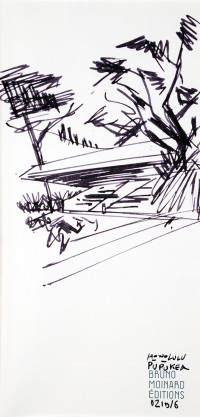 carnet-de-voyage-hawai-honolulu_dsc4984