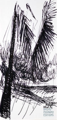 carnet-de-voyage-hawai-honolulu_dsc4987