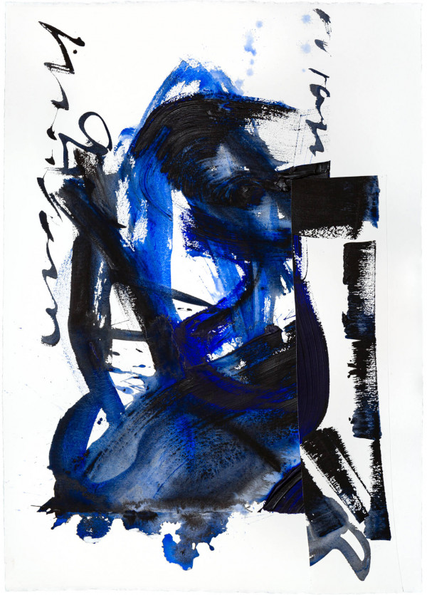 canard_b5831_1