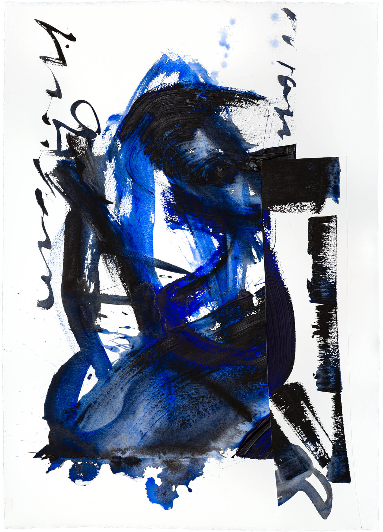canard_b5831_1