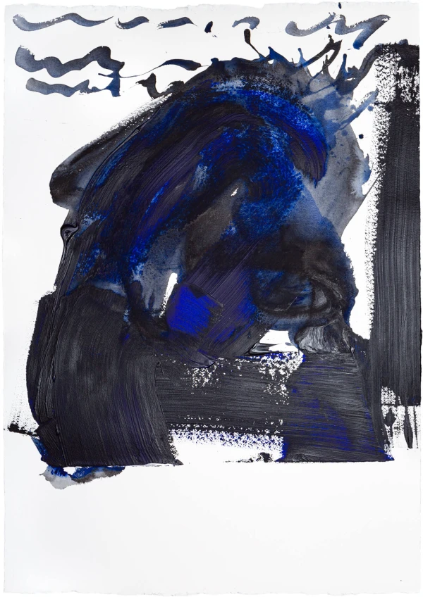 le_colosse_b5827_1
