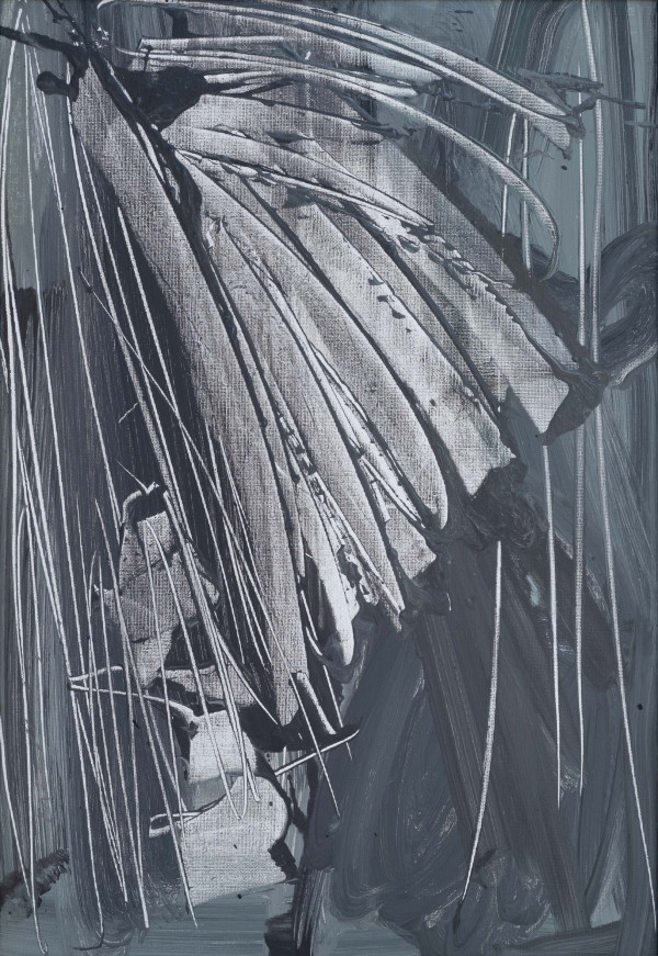 bruno-moinard-papillon_53x37cm__bmb0282